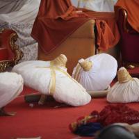 20160528_Photo_1095_IMG_2751_CMP_WM