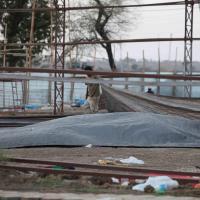 20160528_Photo_1105_IMG_2727_CMP_WM