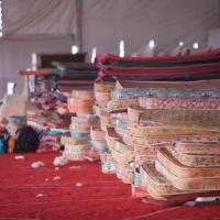 20160528_Photo_1112_IMG_2754_CMP_WM