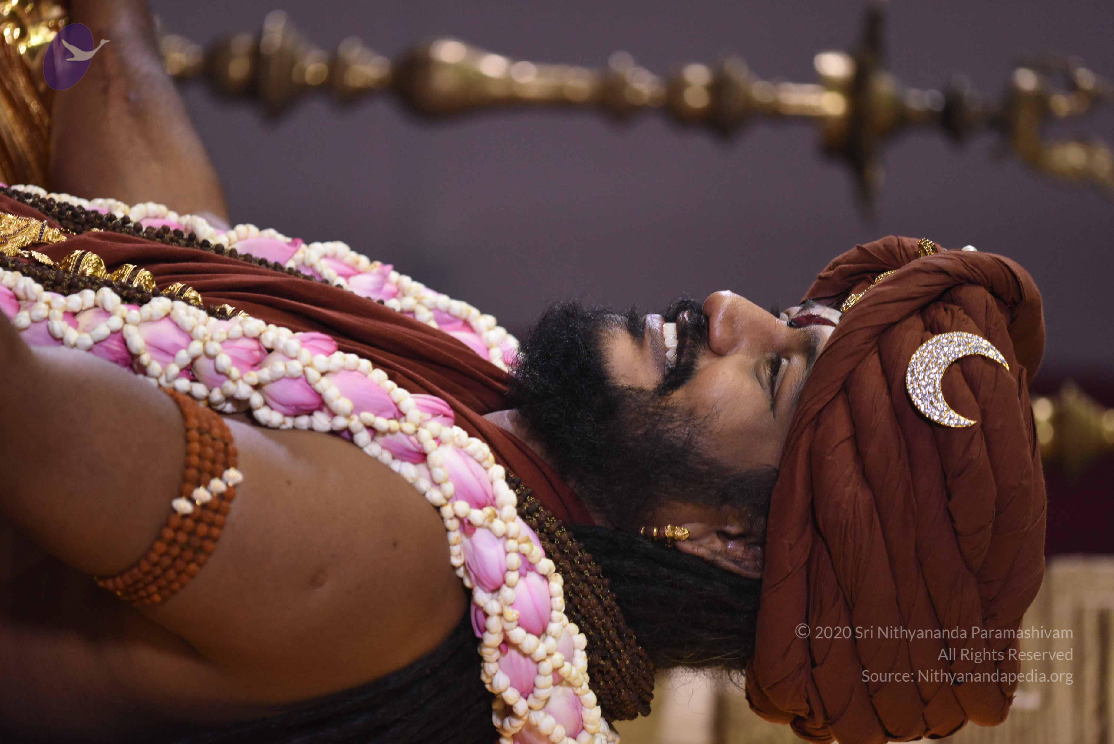 20161111_Photo_1008_1b7EVN4JNWo-XegZKwRRZcwkFtB-C2Pvj