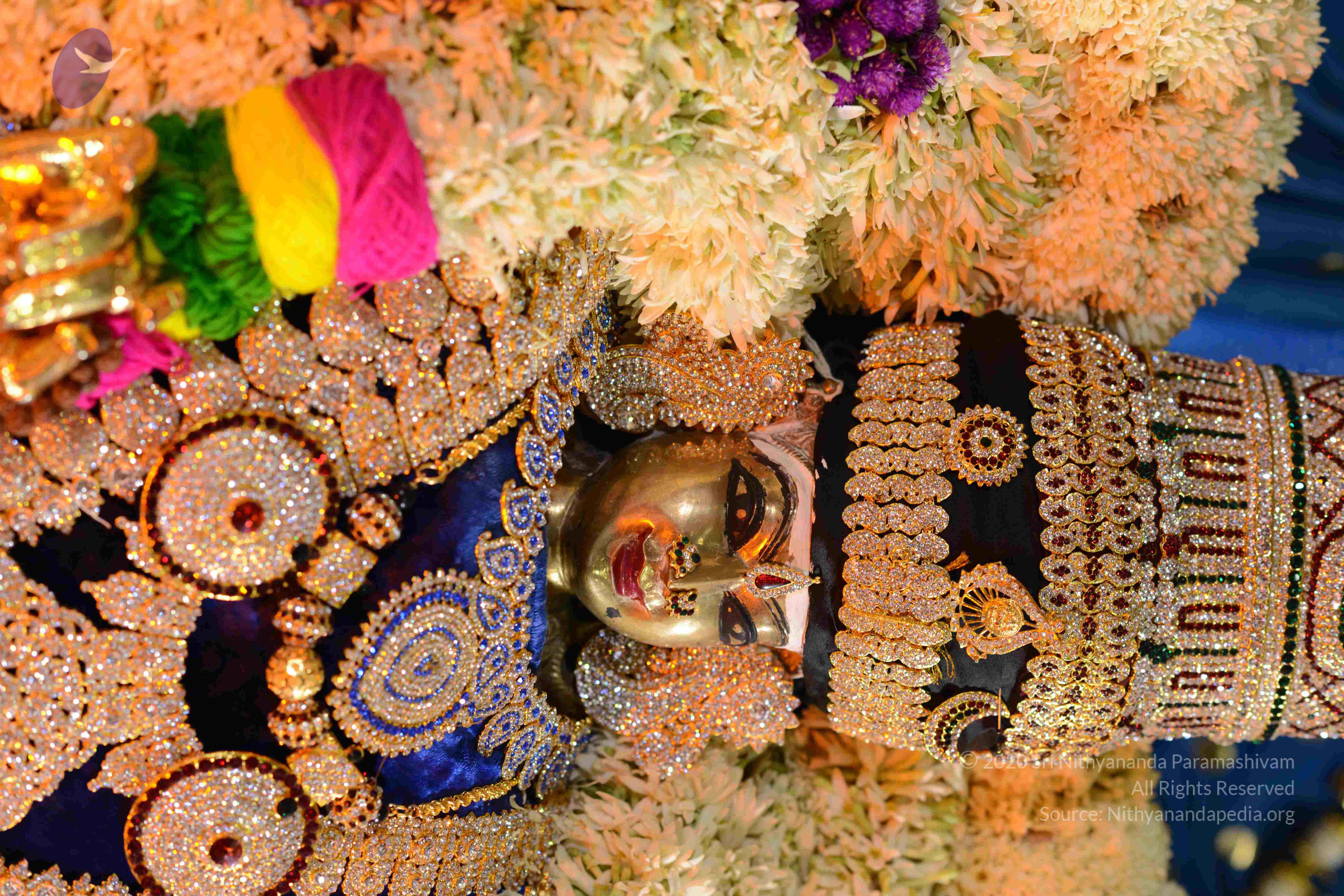 20161006_Photo_1002_DSC_0402_CMP_WM