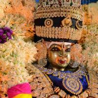 20161006_Photo_1002_DSC_0402_CMP_WM