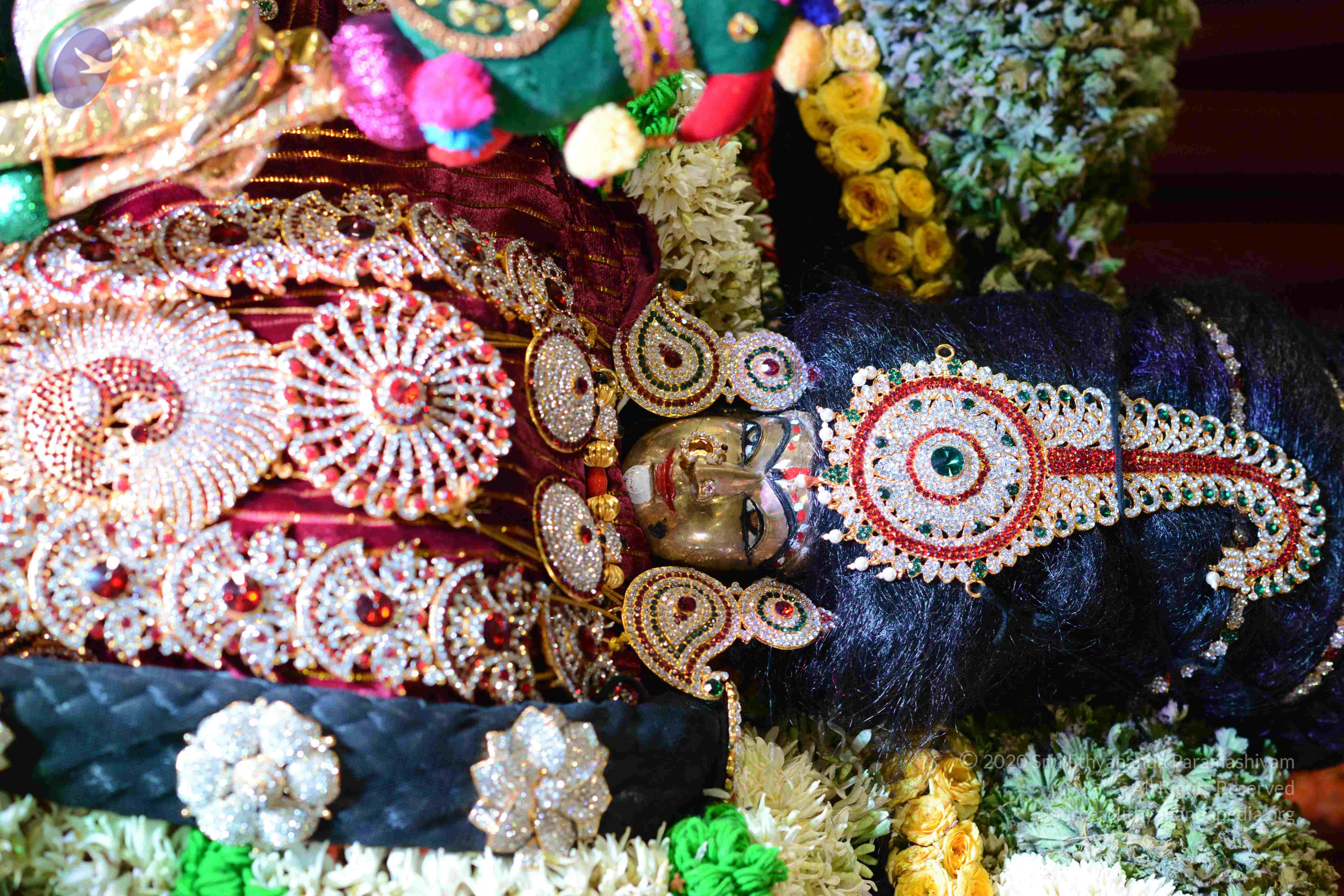 20161006_Photo_1011_DSC_0400_CMP_WM