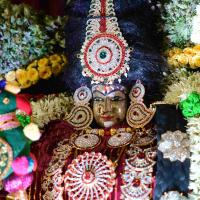 20161006_Photo_1011_DSC_0400_CMP_WM