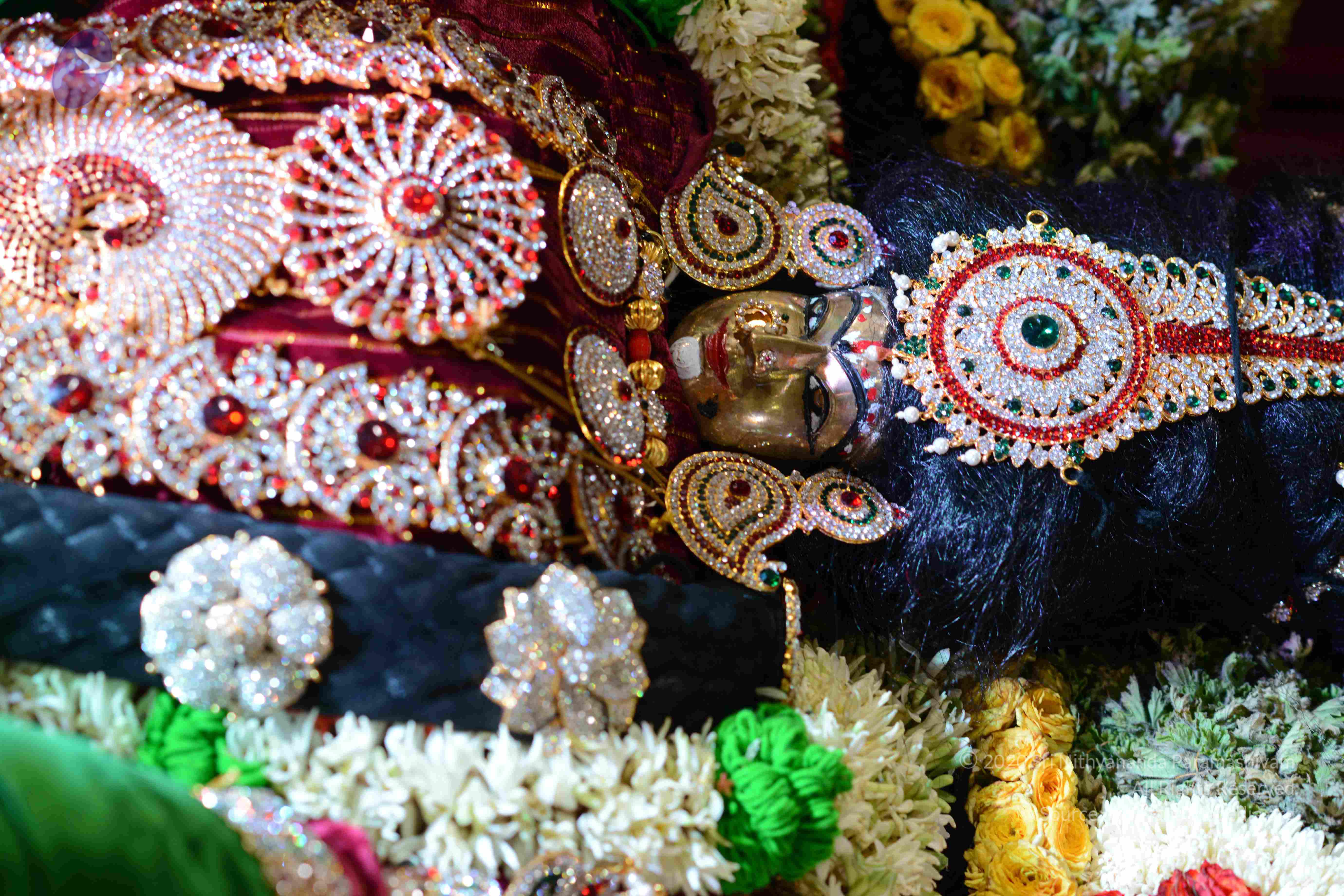 20161006_Photo_1019_DSC_0398_CMP_WM