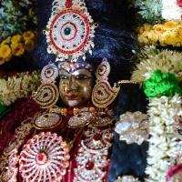 20161006_Photo_1019_DSC_0398_CMP_WM