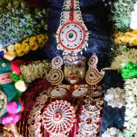 20161006_Photo_1027_DSC_0399_CMP_WM