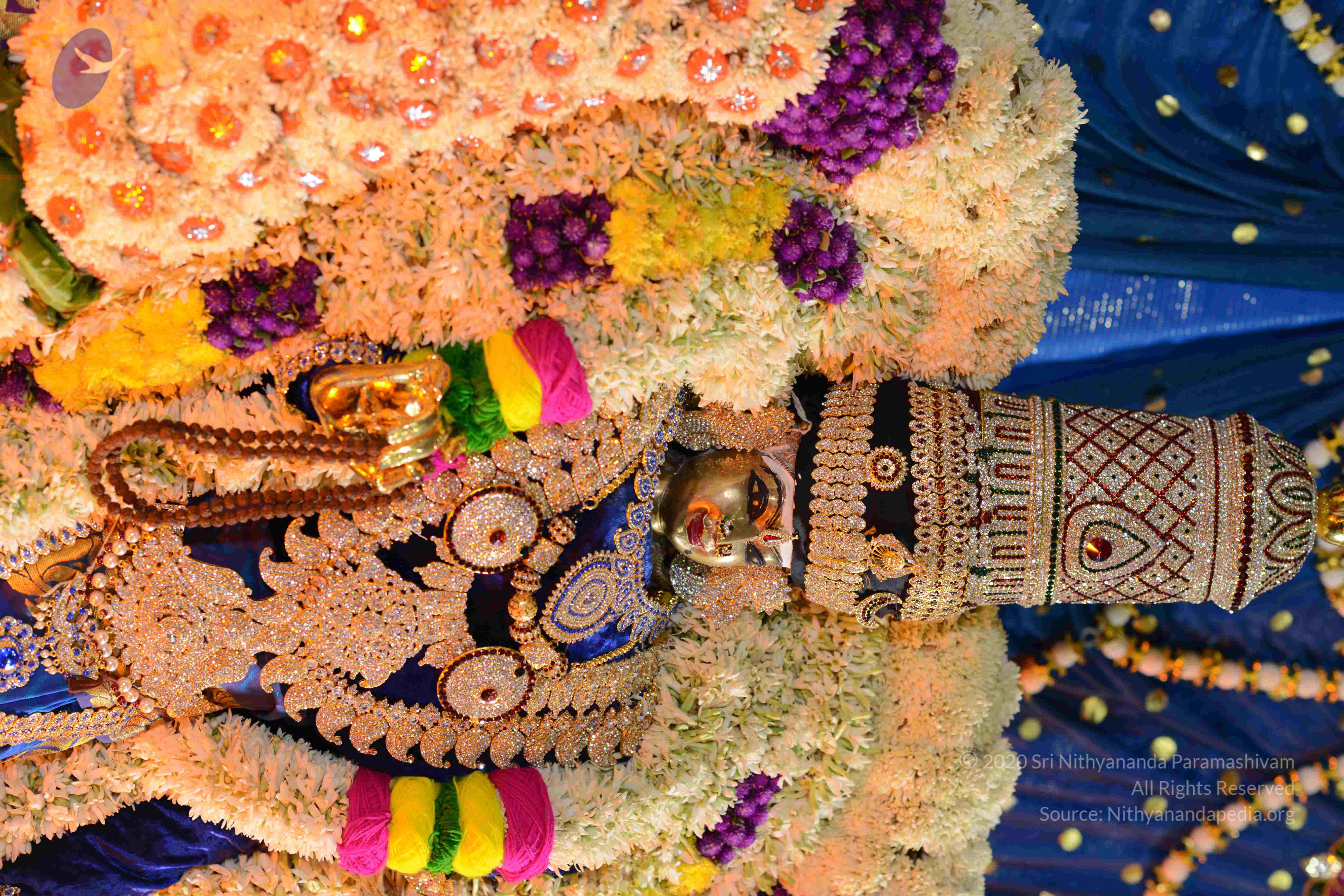 20161006_Photo_1031_DSC_0404_CMP_WM