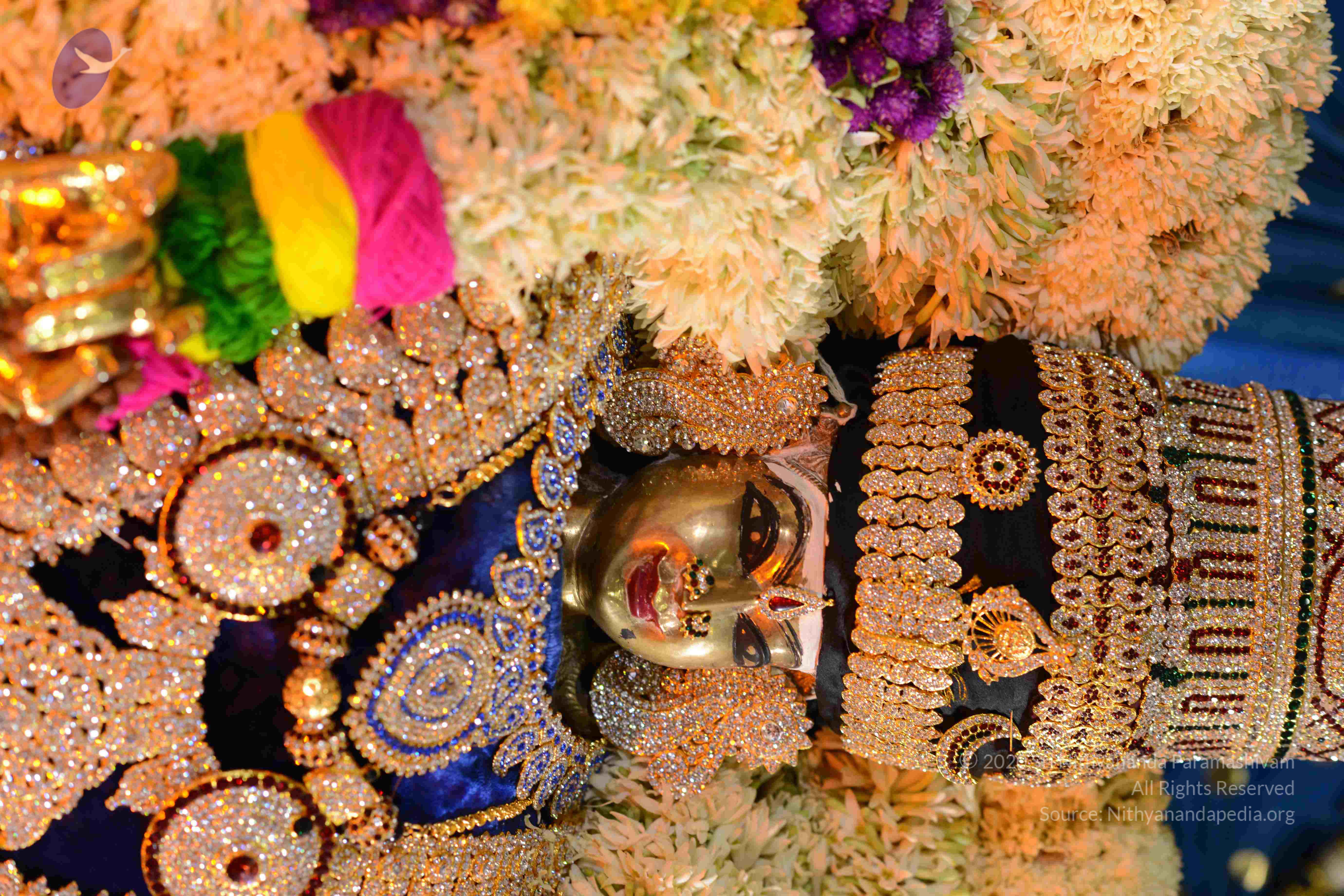 20161006_Photo_1032_DSC_0401_CMP_WM