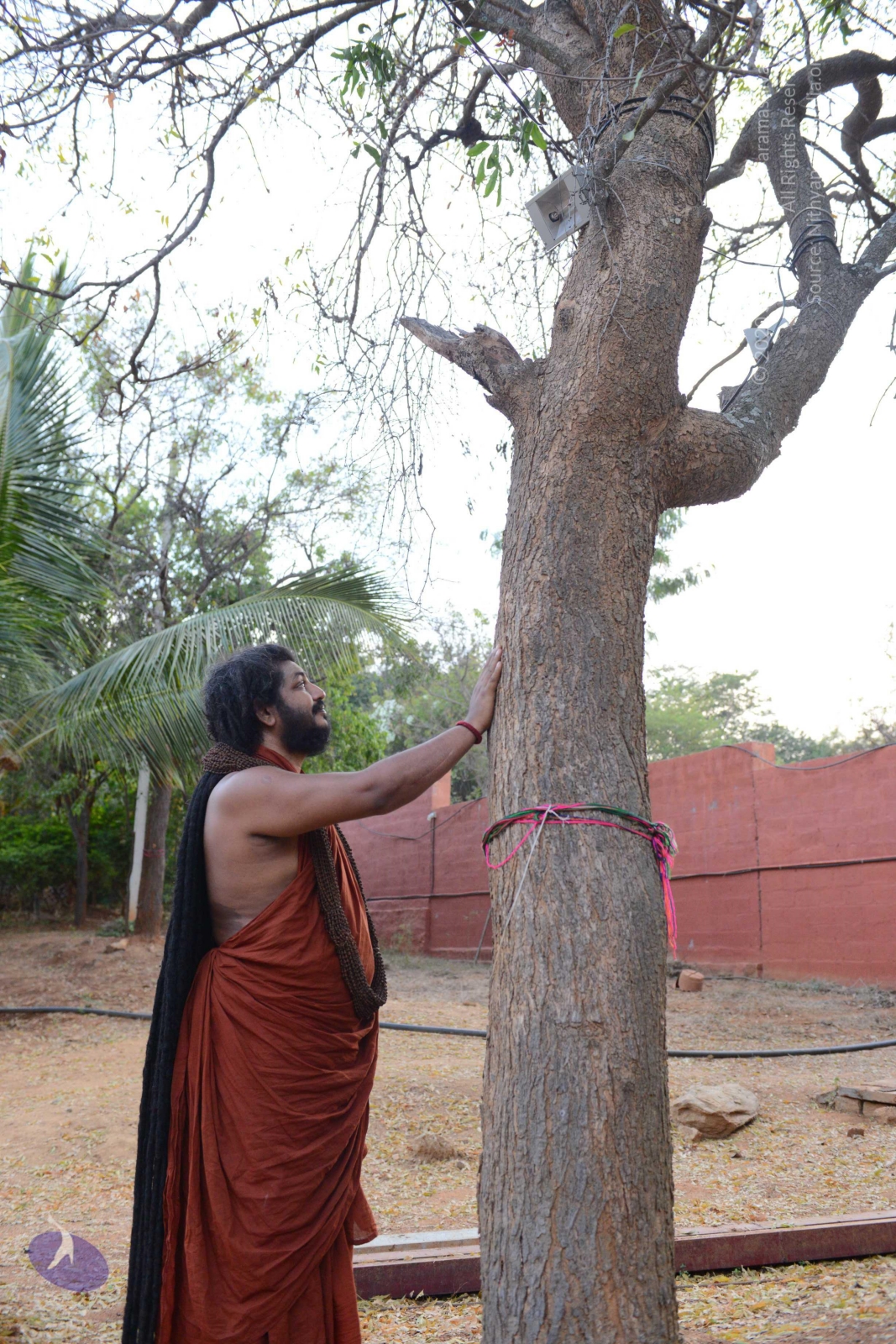 20161031_Photo_1000_DSC_2024_CMP_WM