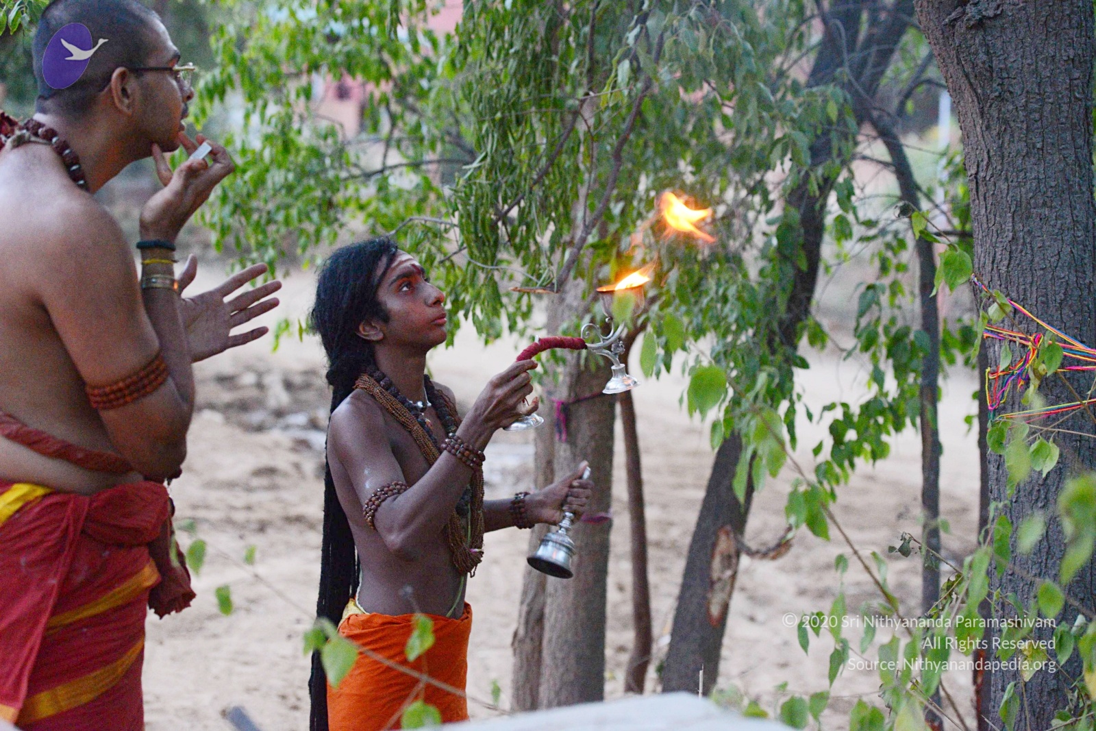 20161031_Photo_1006_DSC_2121_CMP_WM