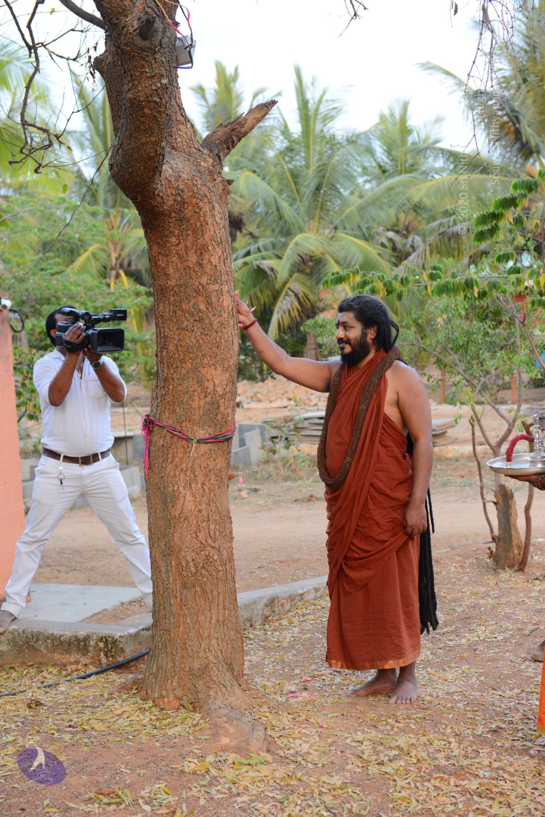 20161031_Photo_1016_DSC_2026_CMP_WM