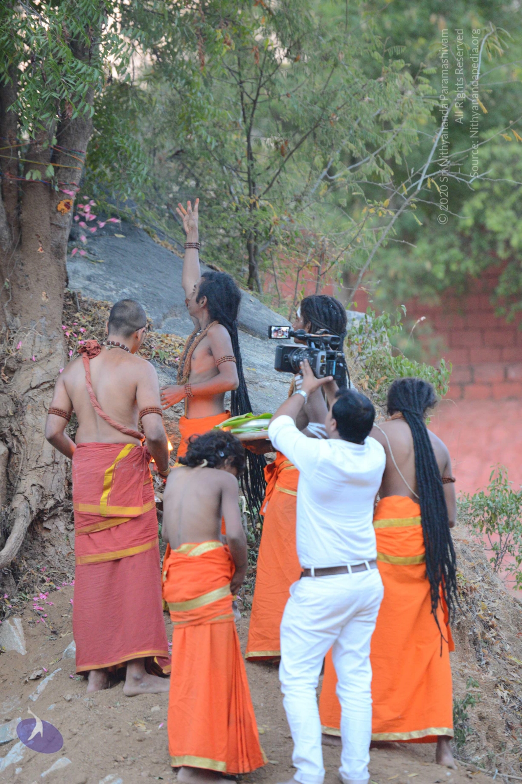 20161031_Photo_1017_DSC_2105_CMP_WM