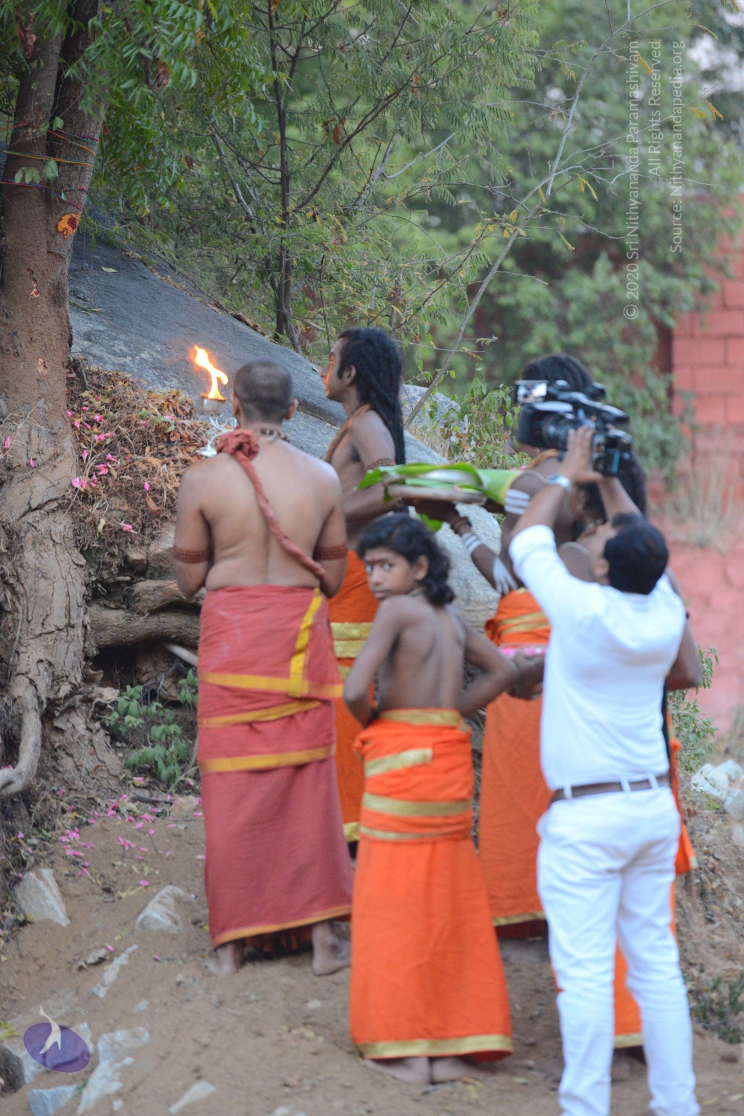 20161031_Photo_1029_DSC_2100_CMP_WM