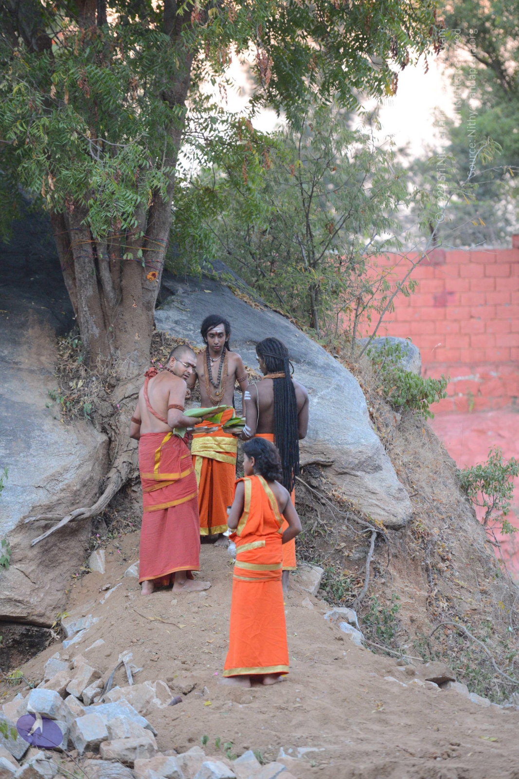 20161031_Photo_1031_DSC_2087_CMP_WM