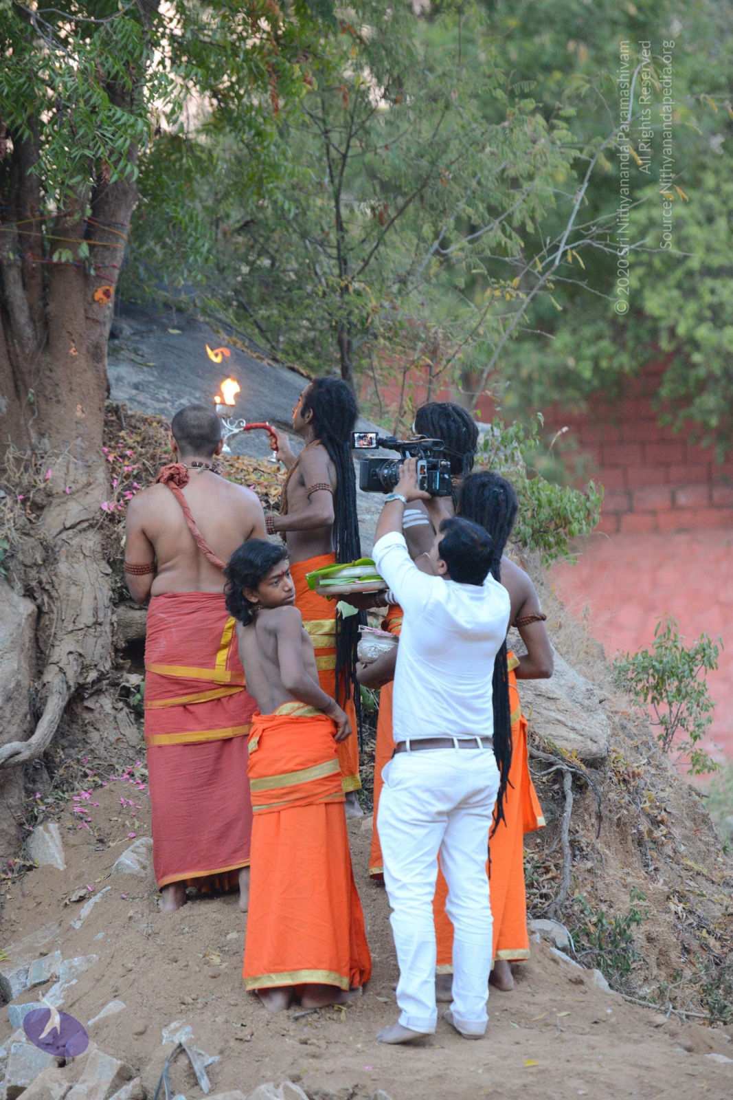 20161031_Photo_1034_DSC_2103_CMP_WM