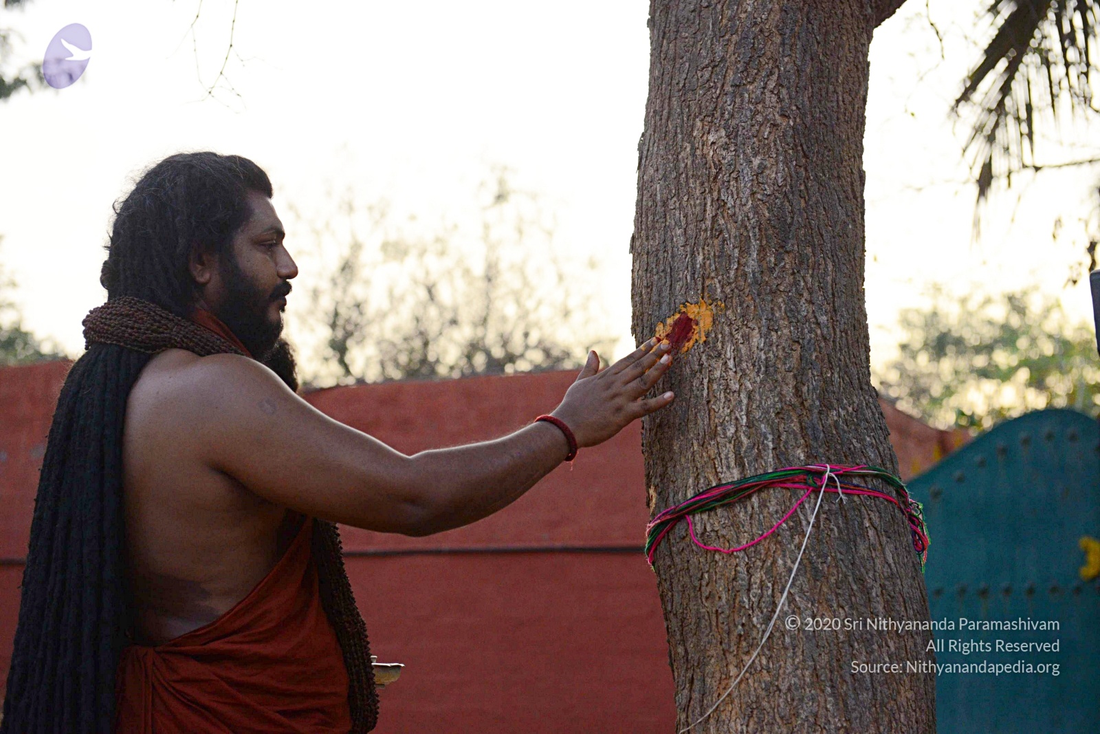 20161031_Photo_1040_DSC_2039_CMP_WM