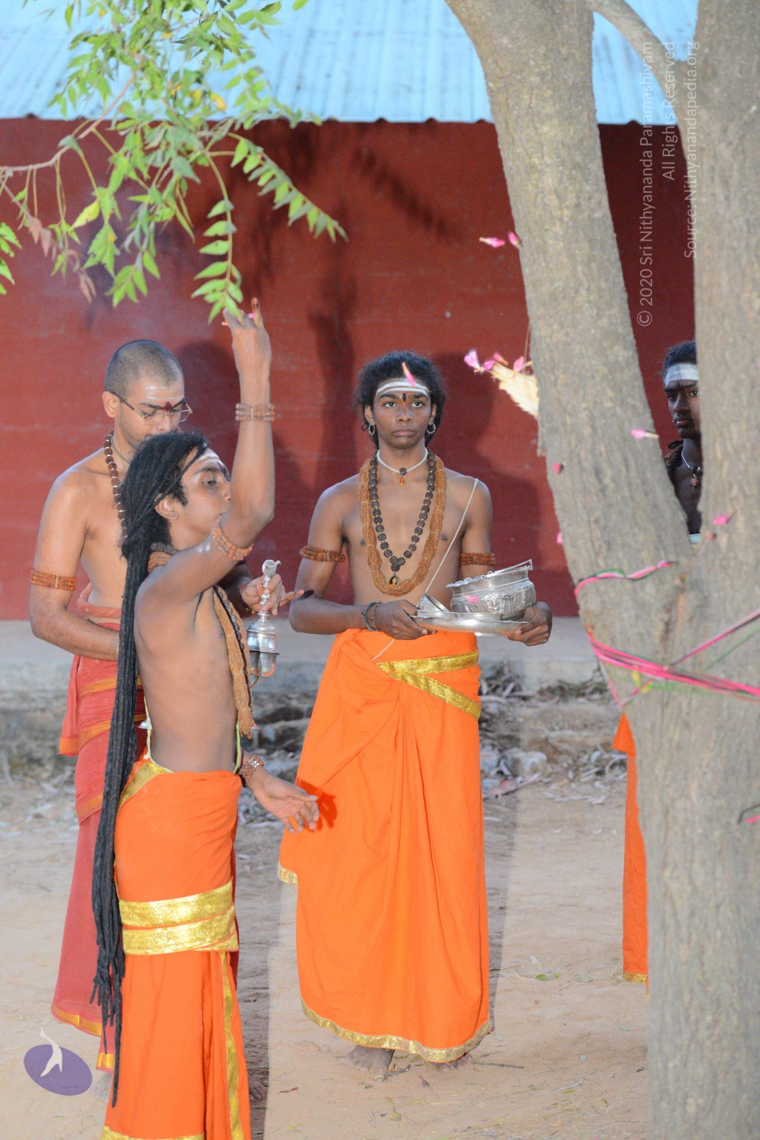 20161031_Photo_1044_DSC_2120_CMP_WM