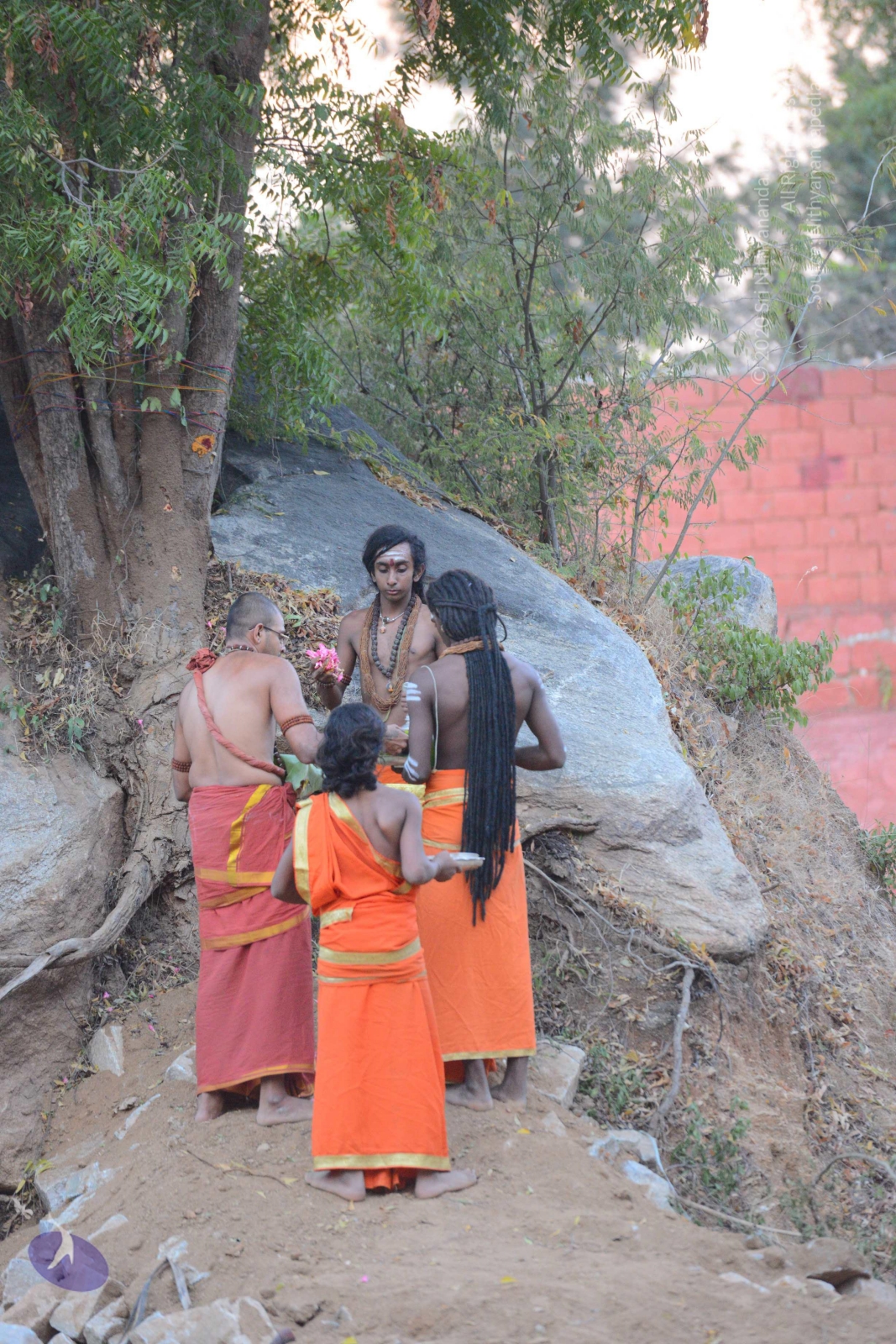 20161031_Photo_1050_DSC_2088_CMP_WM