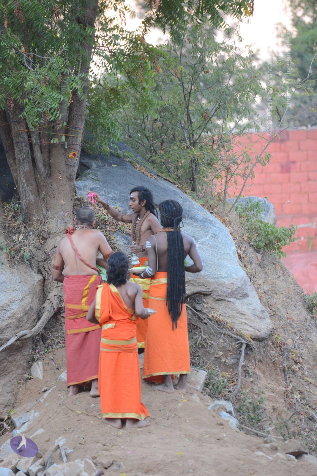 20161031_Photo_1051_DSC_2091_CMP_WM