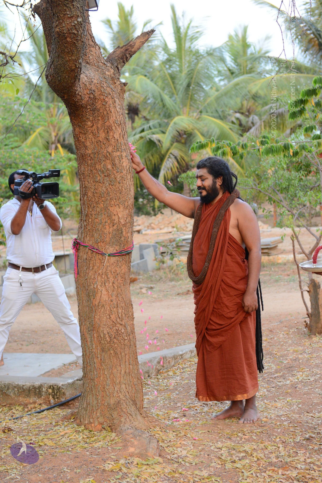 20161031_Photo_1055_DSC_2027_CMP_WM