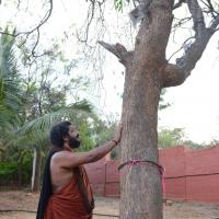 20161031_Photo_1000_DSC_2024_CMP_WM