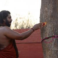 20161031_Photo_1001_DSC_2038_CMP_WM