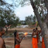 20161031_Photo_1004_DSC_2201_CMP_WM