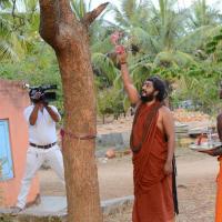 20161031_Photo_1005_DSC_2029_CMP_WM