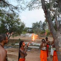 20161031_Photo_1007_DSC_2204_CMP_WM