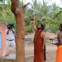 20161031_Photo_1009_DSC_2030_CMP_WM