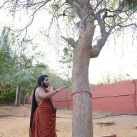 20161031_Photo_1011_DSC_2021_CMP_WM