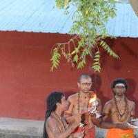 20161031_Photo_1014_DSC_2119_CMP_WM