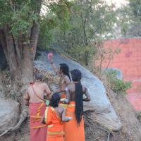 20161031_Photo_1015_DSC_2090_CMP_WM