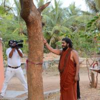 20161031_Photo_1016_DSC_2026_CMP_WM