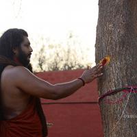 20161031_Photo_1040_DSC_2039_CMP_WM