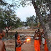 20161031_Photo_1041_DSC_2200_CMP_WM