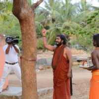 20161031_Photo_1042_DSC_2028_CMP_WM