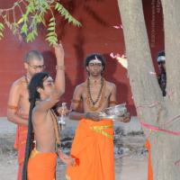 20161031_Photo_1044_DSC_2120_CMP_WM