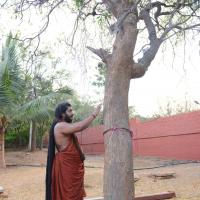 20161031_Photo_1049_DSC_2022_CMP_WM