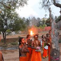 20161031_Photo_1052_DSC_2185_CMP_WM