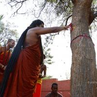 20161031_Photo_1058_DSC_2054_CMP_WM