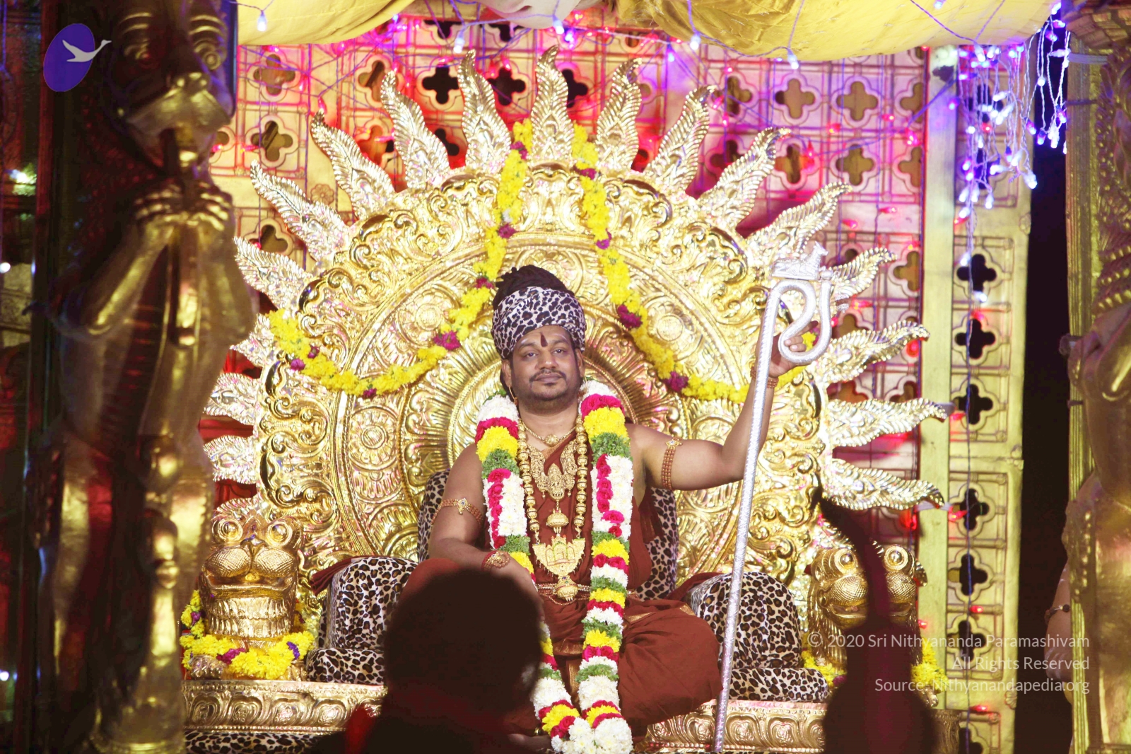 20170825_Photo_1042_IMG_2960_CMP_WM