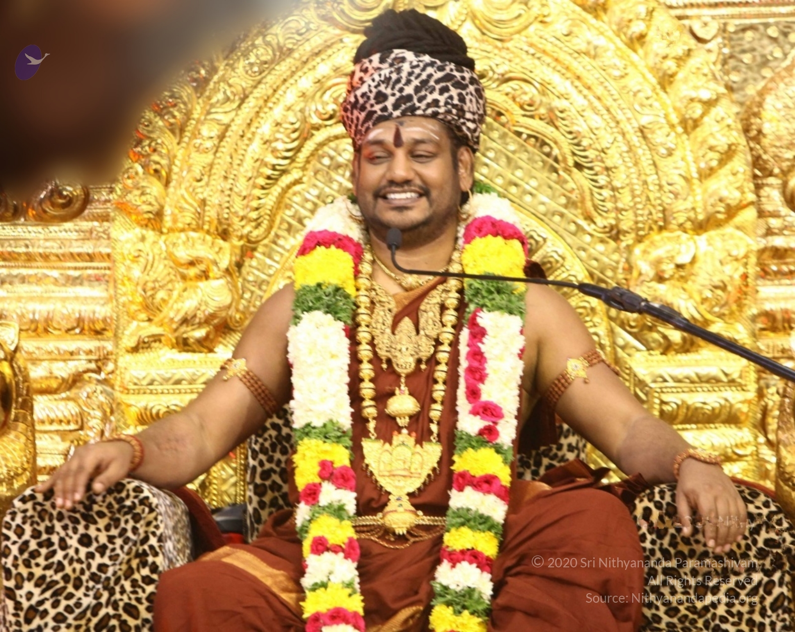 20170825_Photo_1000_IMG_2165_CMP_WM