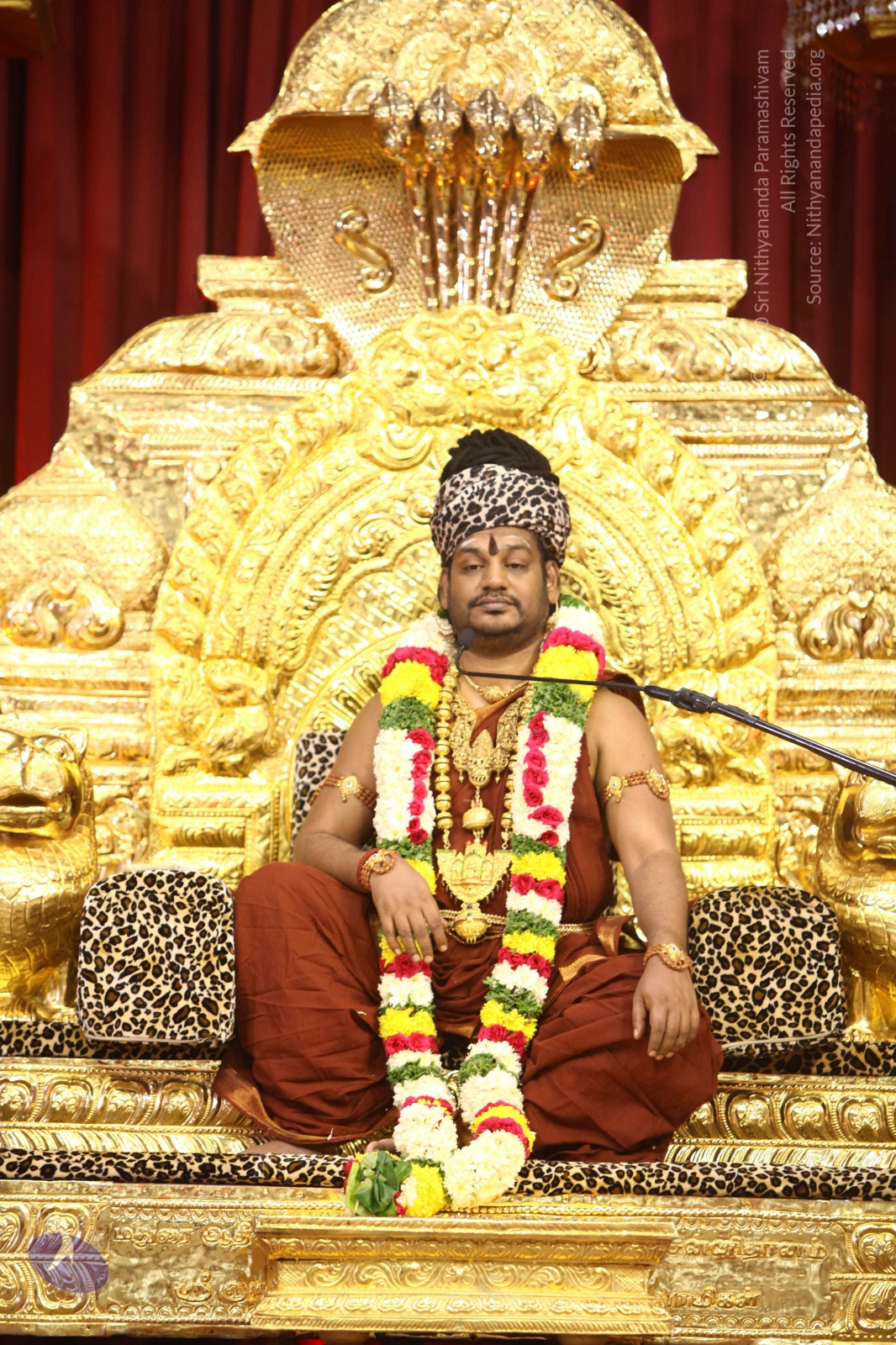 20170825_Photo_1008_IMG_2683_CMP_WM