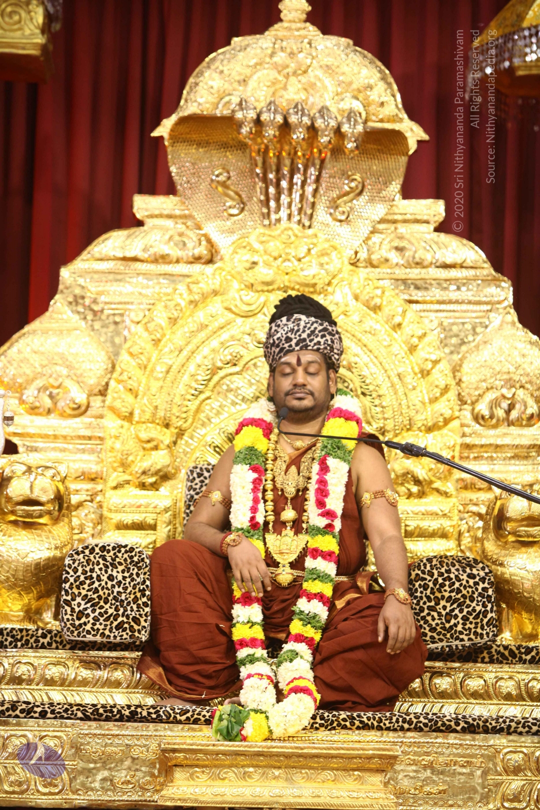 20170825_Photo_1013_IMG_2684_CMP_WM