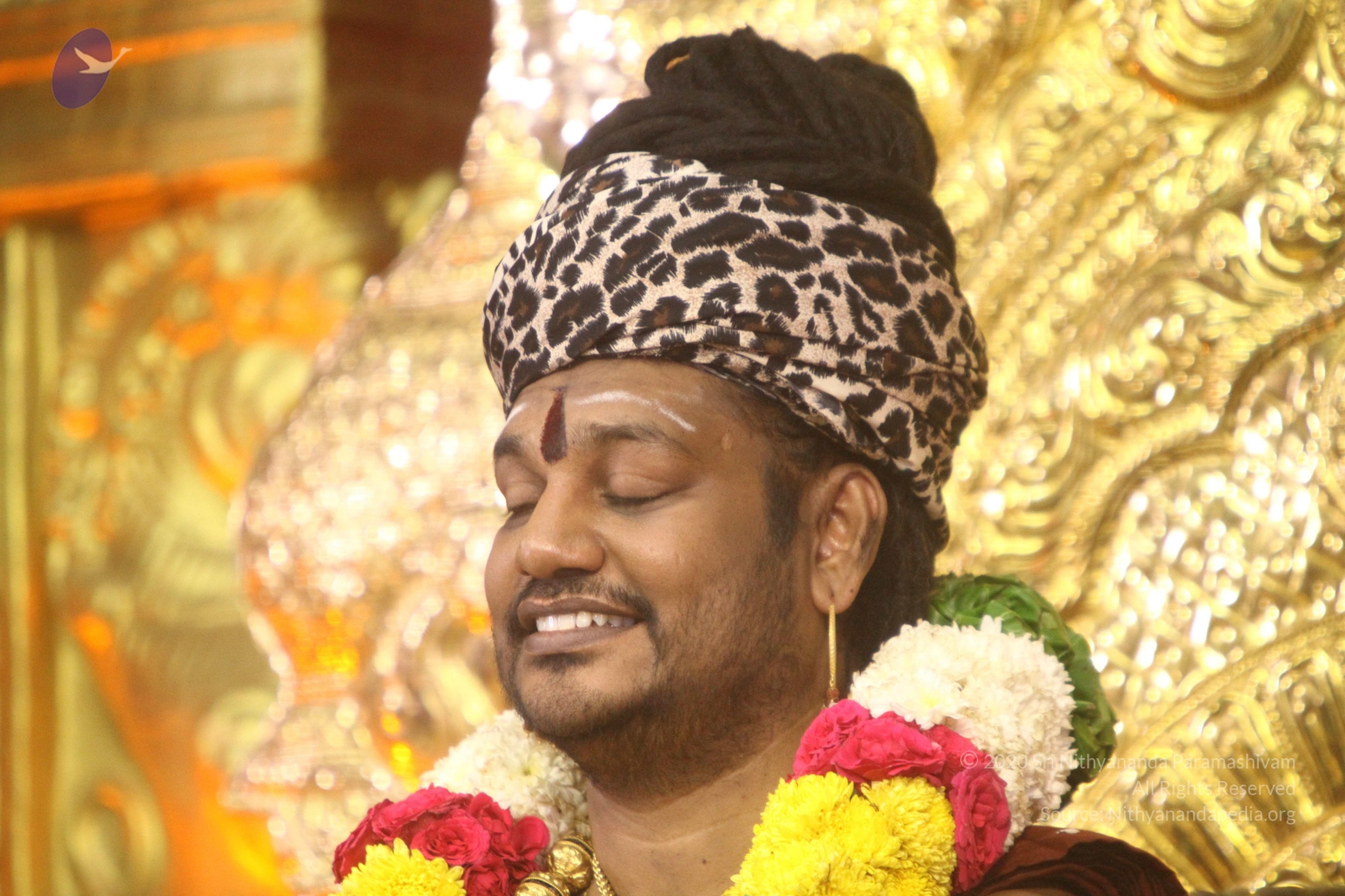 20170825_Photo_1029_IMG_2332_CMP_WM