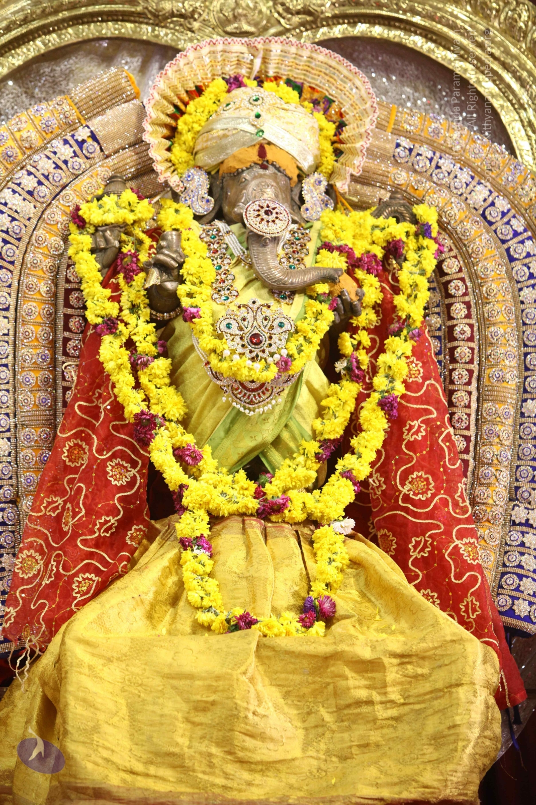 20170825_Photo_1046_IMG_2557_CMP_WM