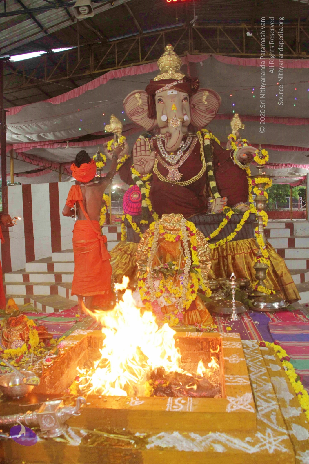 20170825_Photo_1009_IMG_0077_CMP_WM