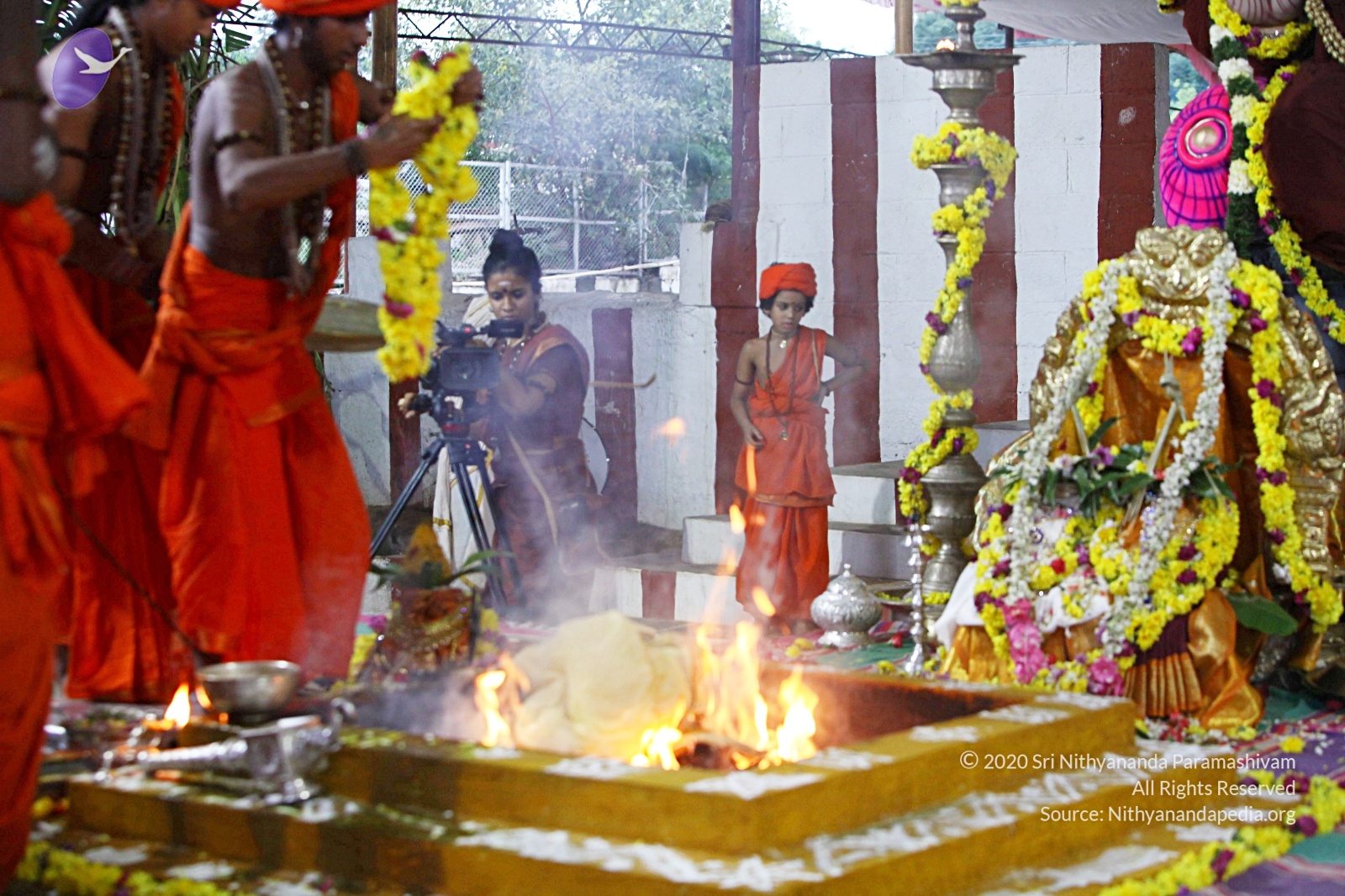 20170825_Photo_1011_IMG_1893_CMP_WM